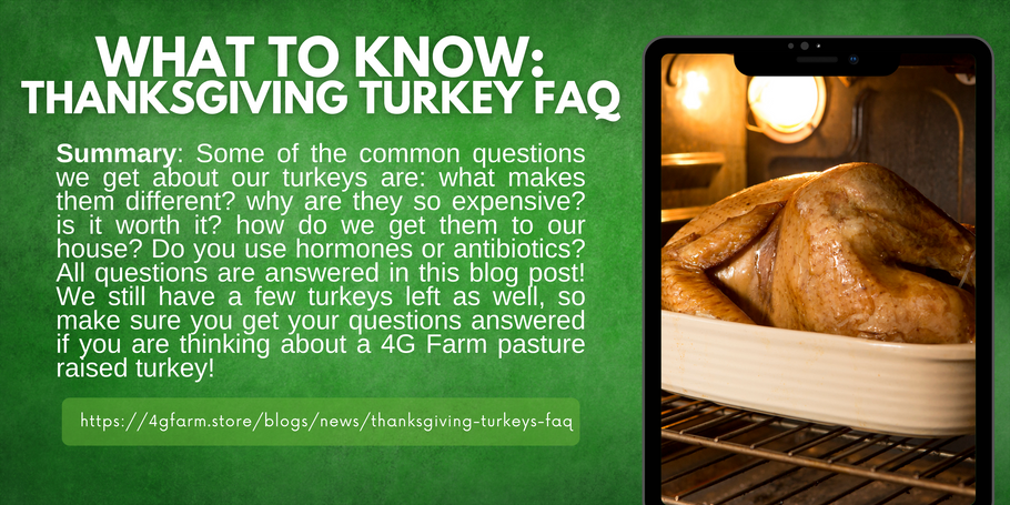 What to Know: Thanksgiving Turkeys FAQ