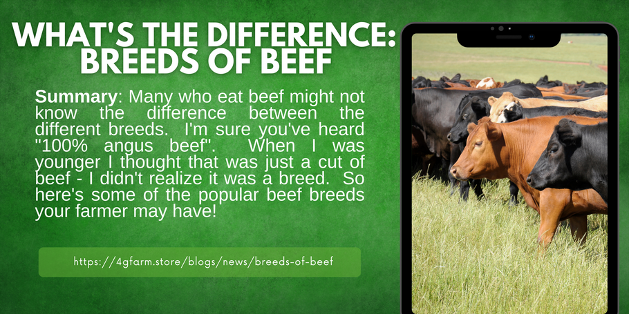 What's the Difference: Breeds of Beef