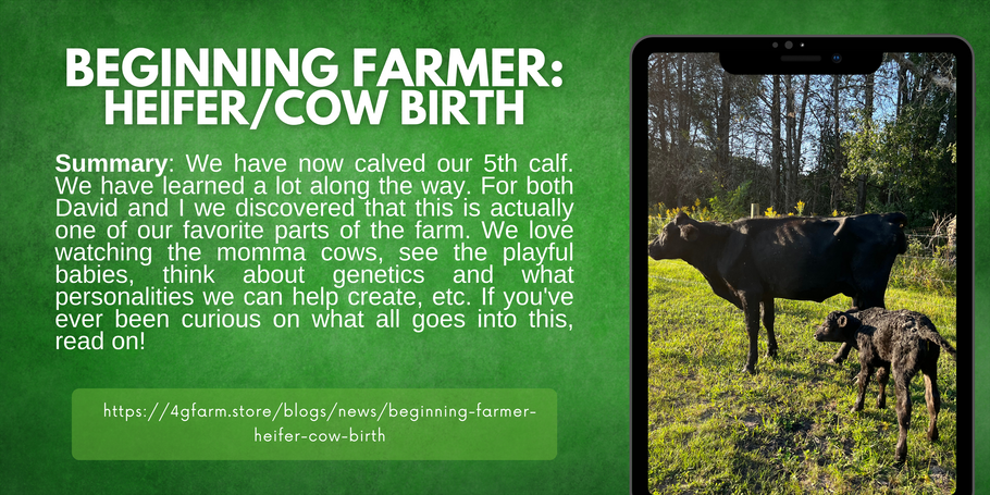 Beginning Farmer: Heifer/Cow Birth