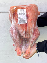 Load image into Gallery viewer, Pastured Turkey - Whole Bird