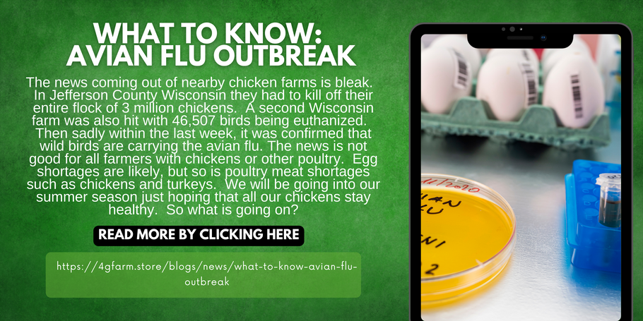 What to Know: Avian Flu Outbreak