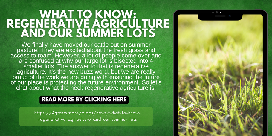 What to Know: Regenerative Agriculture and Our Summer Lots