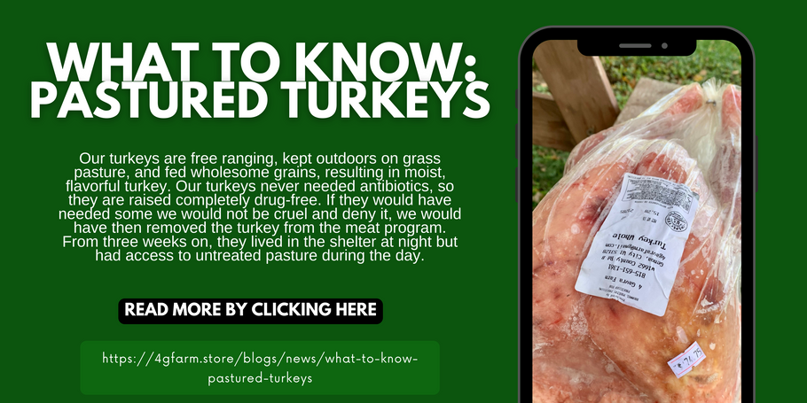 What to Know: Pastured Turkeys