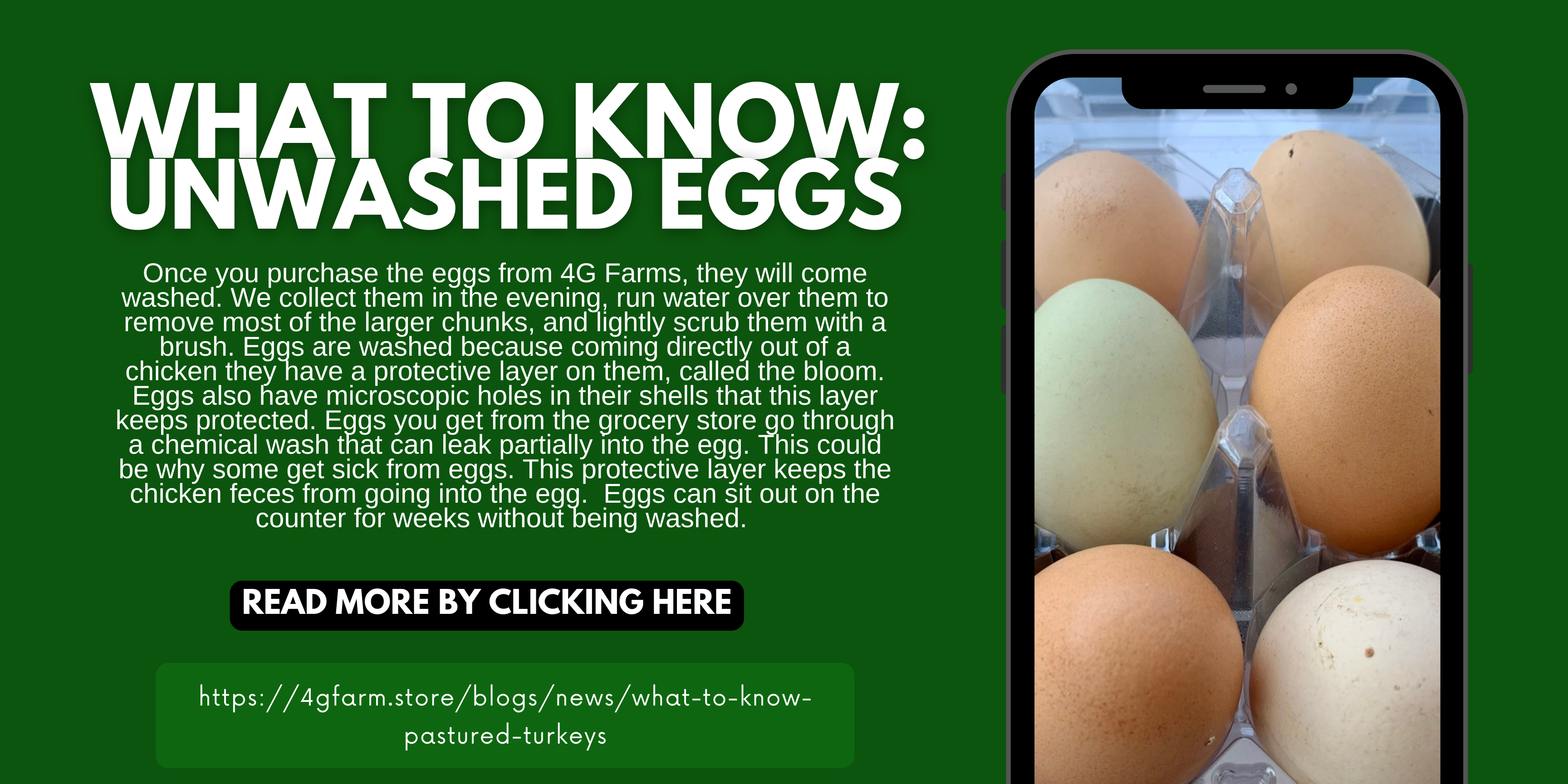 https://4gfarm.store/cdn/shop/articles/Blog_Post_3.png?v=1643124141