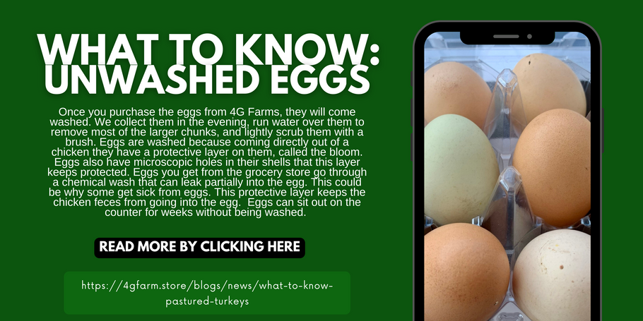 What to Know: Unwashed Eggs