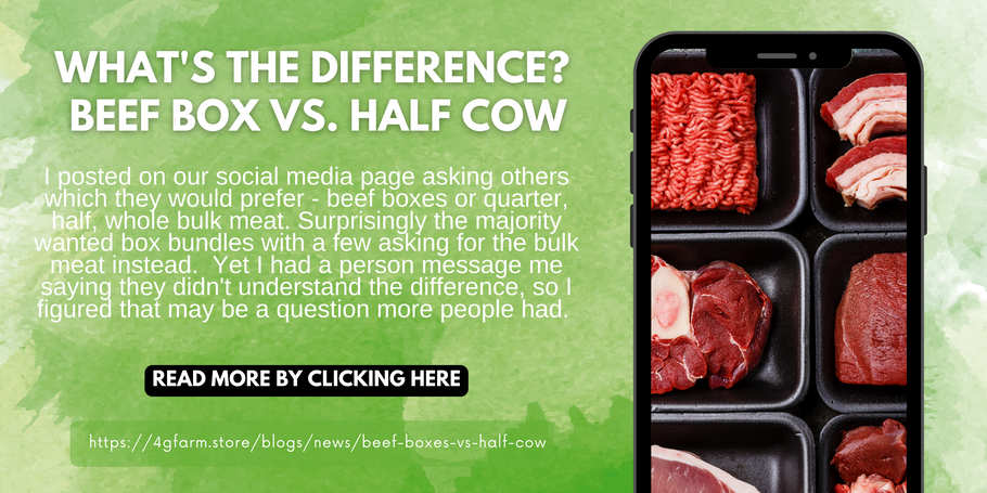 What's the Difference? Beef Boxes vs. Half Cow