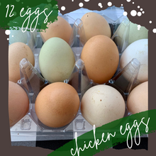 Load image into Gallery viewer, Chicken Eggs: 12 eggs
