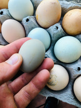 Load image into Gallery viewer, Chicken Eggs: 12 eggs
