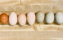 Load image into Gallery viewer, Chicken Eggs: 12 eggs
